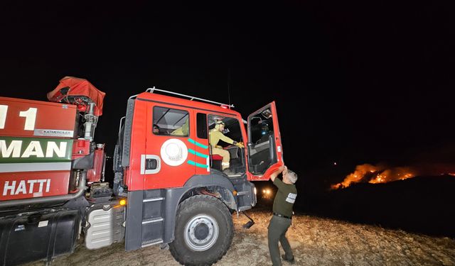 Adana'da korkutan yangın!