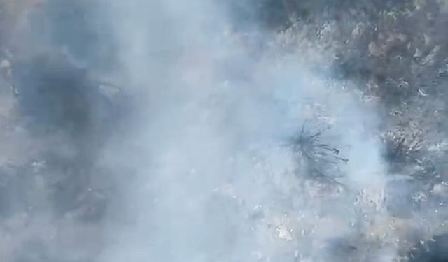 Alanya’da iki yangın kontrol altına alındı