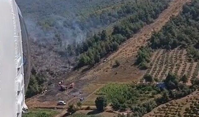 Bursa’da anız yangını ormana sıçradı: Ekipler seferber oldu