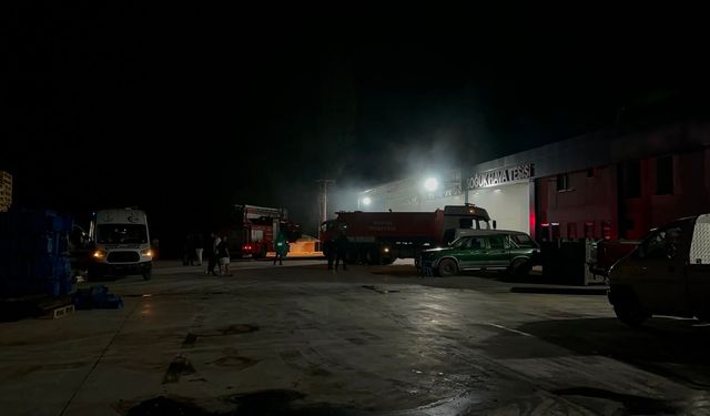 Bursa'da soğuk hava deposunda yangın