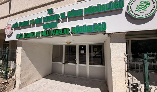 Endemik dağ sarımsağı toplayan 3 kişiye ceza