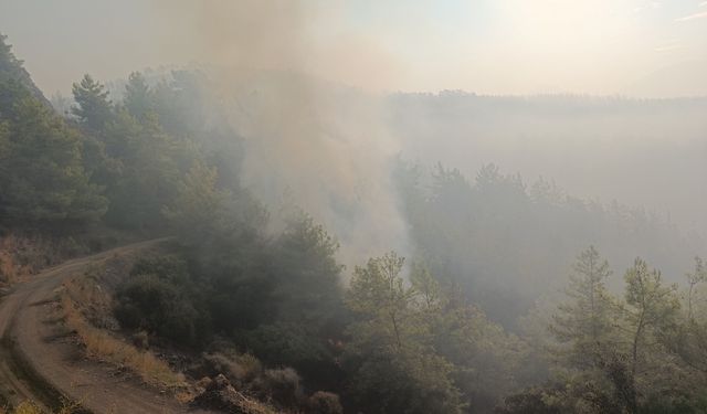 Kumluca'daki orman yangınının enerjisi düşürüldü