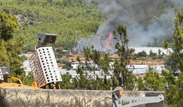 Mersin'de orman yangını