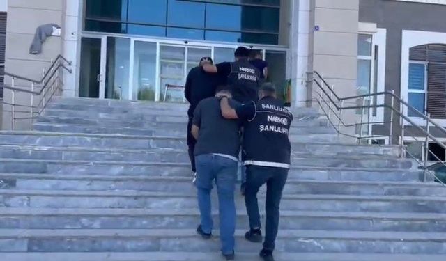 Şanlıurfa'da 9 kilo 550 gram skunk ele geçirildi