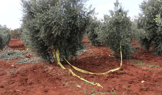 Traktörden düşerek can verdiler!