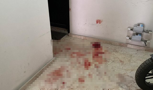 Üvey babasını bıçaklayarak öldürdü
