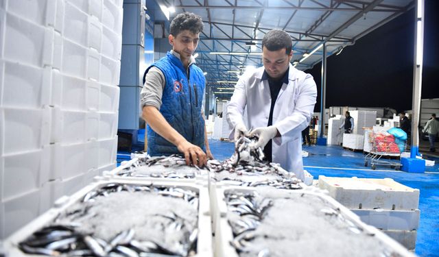 Balık tezgâha çıkmadan kontrolden geçiyor! ABB’den Ankara’da sıkı denetim