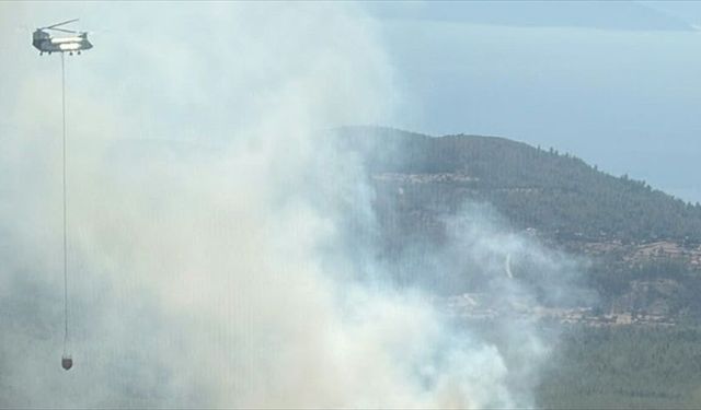 Bodrum’da orman yangını: Havadan ve karadan müdahale ediliyor