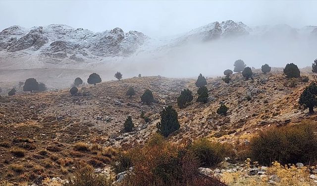 Hindistan’da Tekne Faciası! Çoğu Çocuk 13 Kişi Hayatını Kaybetti