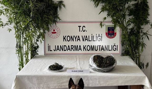Konya'daki uyuşturucu operasyonlarında 10 kişi tutuklandı