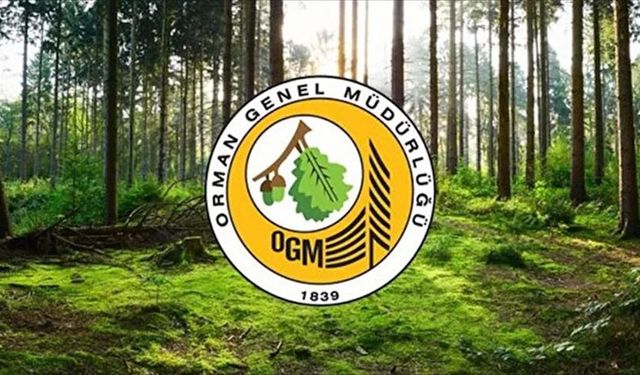 Orman Genel Müdürlüğü 12 müfettiş yardımcısı istihdam ediyor!
