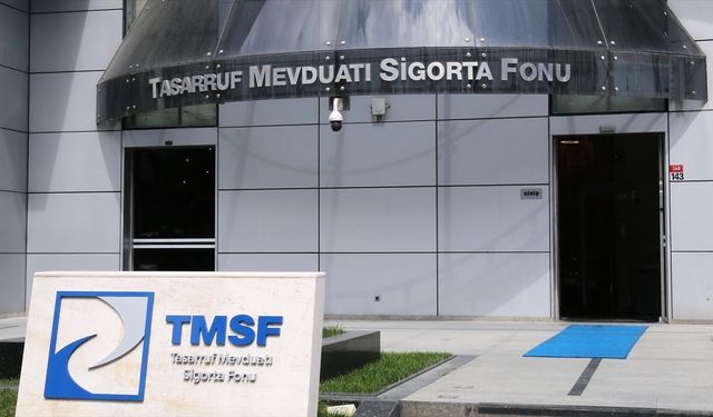 Tera Yatırım Teknoloji Holding’e TMSF Ataması!