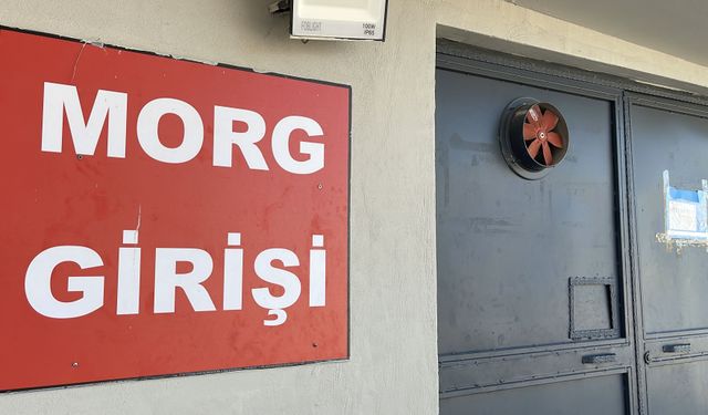 Başını ağaca çarpıp, traktörden düştü!