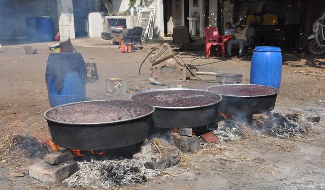 Gaziantep'te pekmez yapma geleneği devam ediyor!