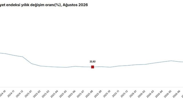 İnşaat maliyetleri bir yılda yüzde 29,59 arttı