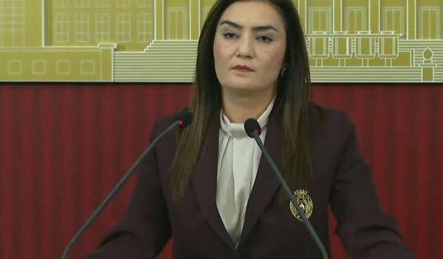 "Savaş ve barış meselelerinde Meclis seyirci bırakılmamalı"