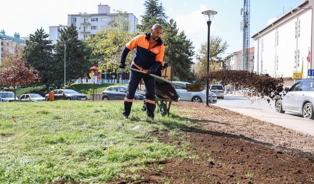 Çankaya’da Anayasa Parkı yenileniyor: Yeşil alan çalışmaları sürüyor