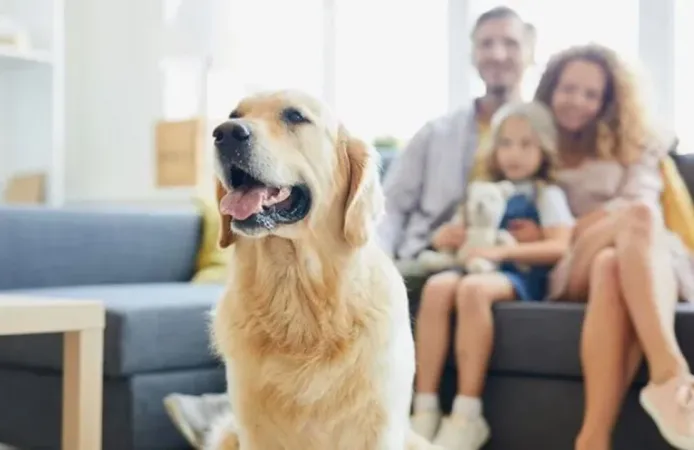 Brezilya’da Duygusal Veda: Evcil Hayvanlar Sahipleriyle Aynı Mezara