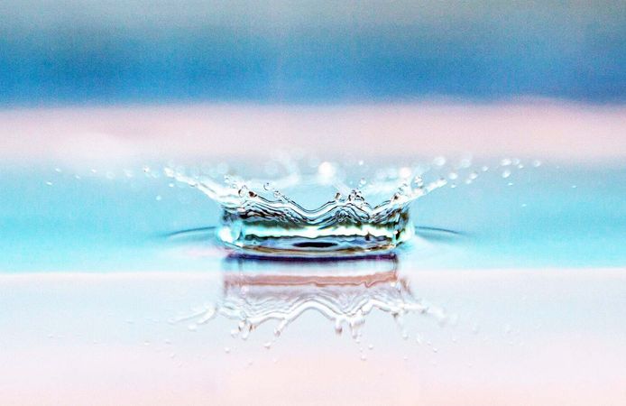 Amatör ve Sportif Olta Balıkçılığı Federasyonu'ndan “Doğaya Saygı, Geleceğe Rastgele” çağrısı