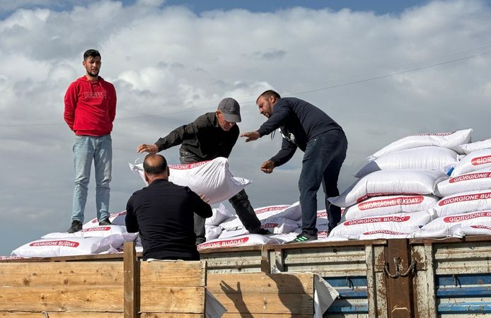 Sincan’da Çiftçilere Yüzde 75 Hibeli Buğday Tohumu Desteği