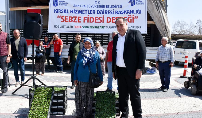 Nallıhan Belediyesinden çiftçiye domates fidesi desteği