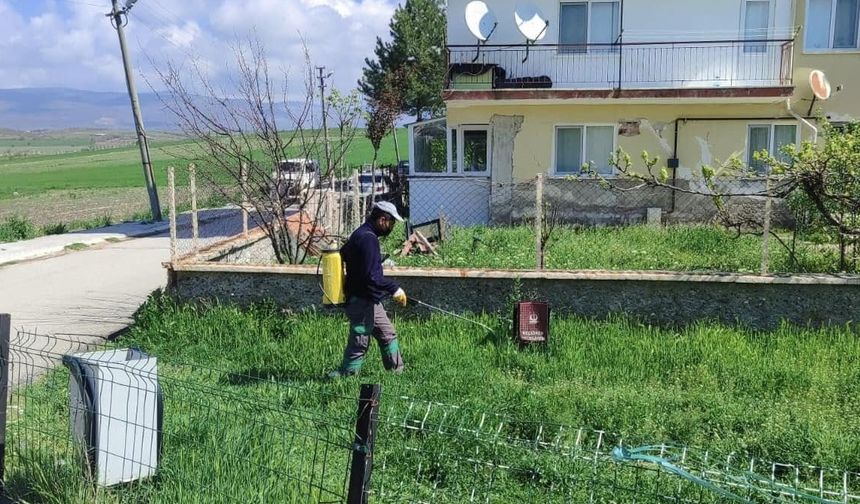 Güdül'de haşereyle mücadele!