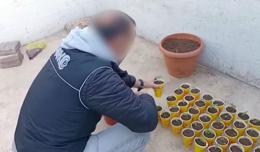 3 ilde torbacı operasyou; 29 şüpheli tutuklandı