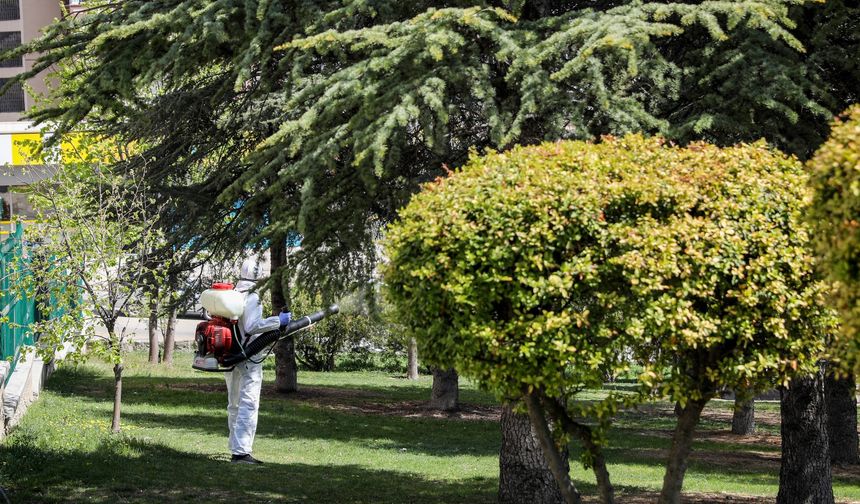 Etimesgut Belediyesi, Sivrisinek ve Haşere İle Mücadele Çalışmalarını Sürdürüyor