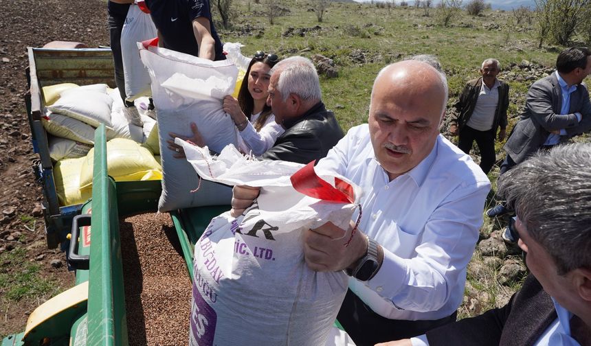 Kızılcahamam’da Karabuğday Üretimi Başladı