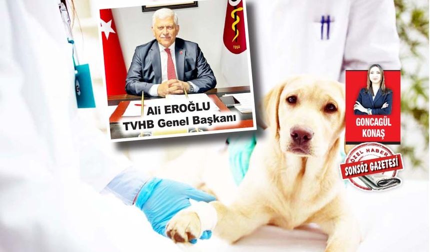 Veteriner Hekimler şiddete karşı koruma istiyor