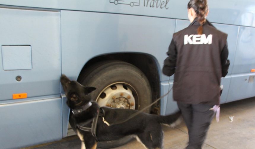77 kilo uyuşturucu hapı Neptun buldu