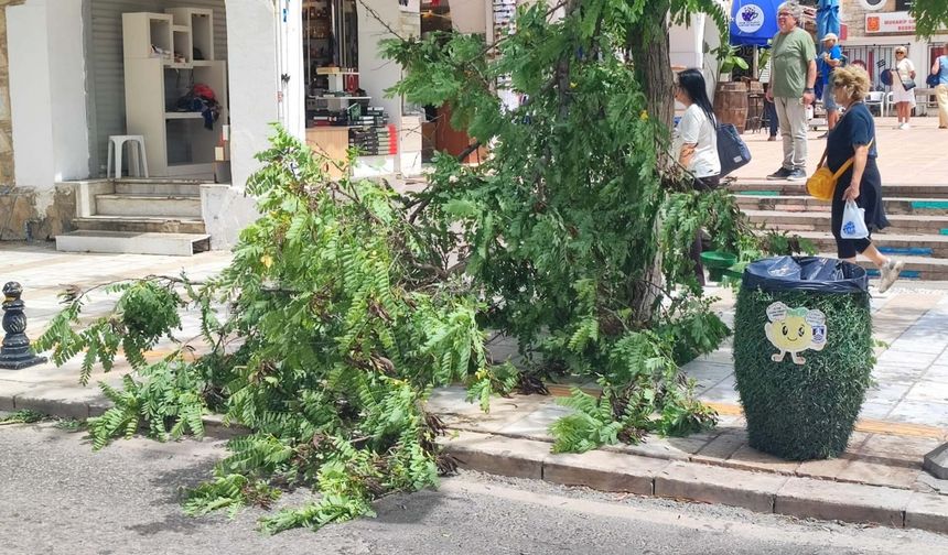 Bodrum'da fırtınanın faturası ağır oldu