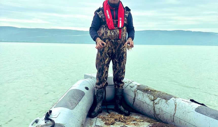 Bursa'da kaçak avcılara baskın