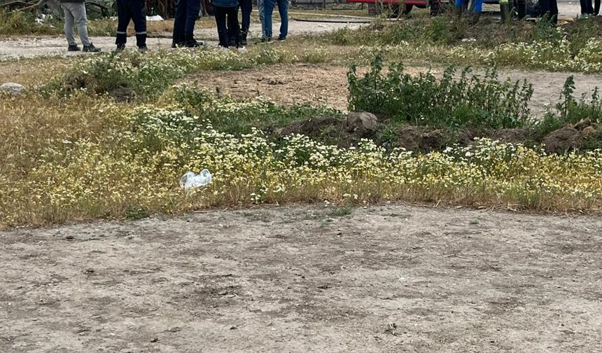 Çıkan yangında 42 küçükbaş telef oldu