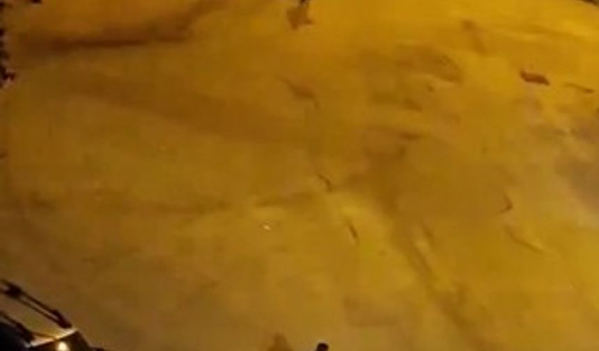 İş yerine pompalı tüfekli saldırdı