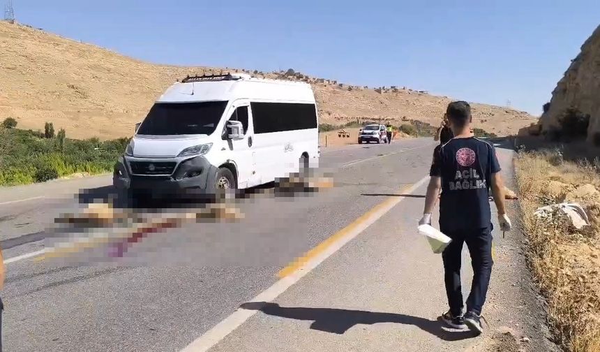 Nusaybin'de minibüs sürüye daldı