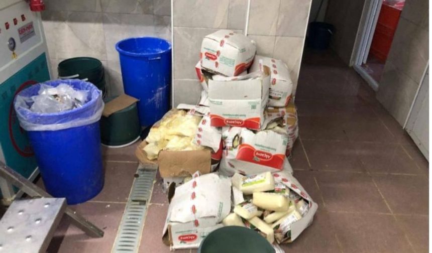 Pamukova 'da 5 ton 'sahte' kaşar peyniri ele geçirildi