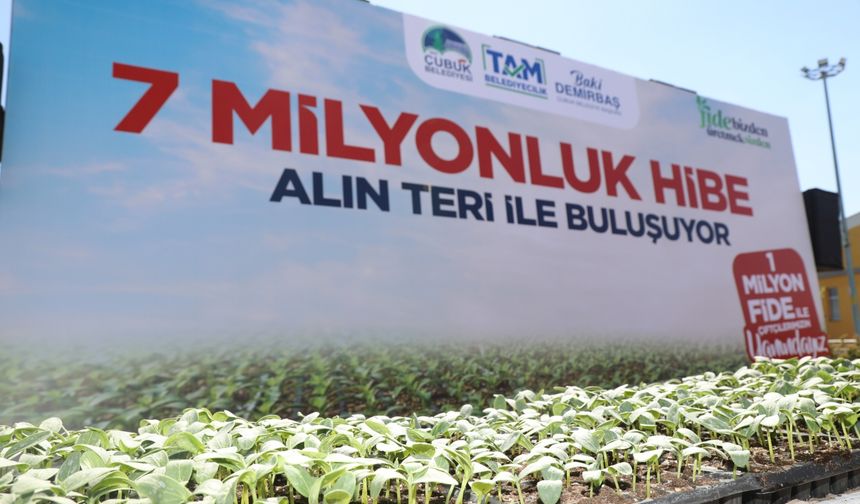 Çubuk Belediyesi çiftçilere fide dağıtıyor!