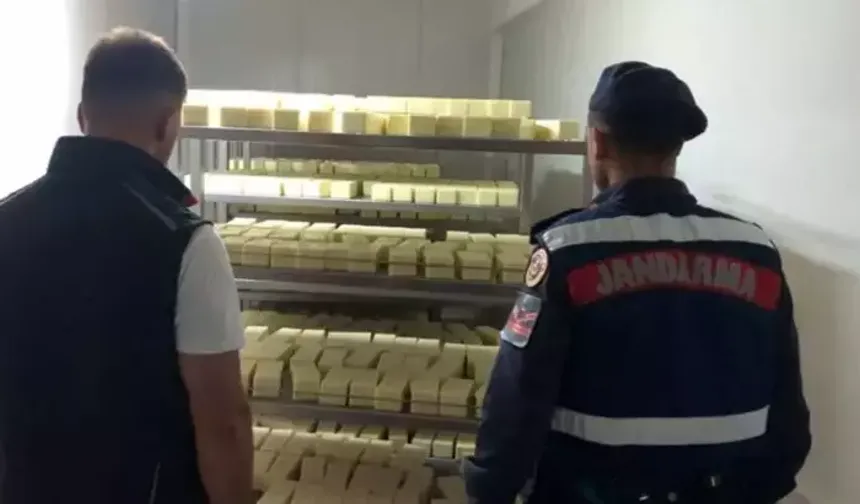 Sakarya'da 1,5 milyon TL'lik sahte kaşar operasyonu