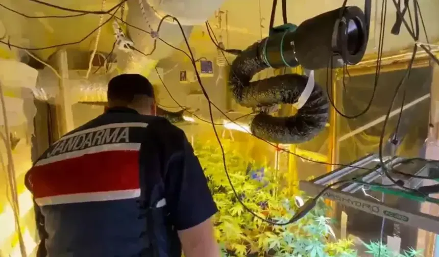Samsun'da evinde kenevir yetiştirdiği ortaya çıktı