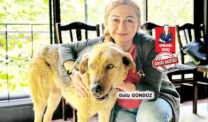Hayvan hakları savunucularından katliam tepkisi