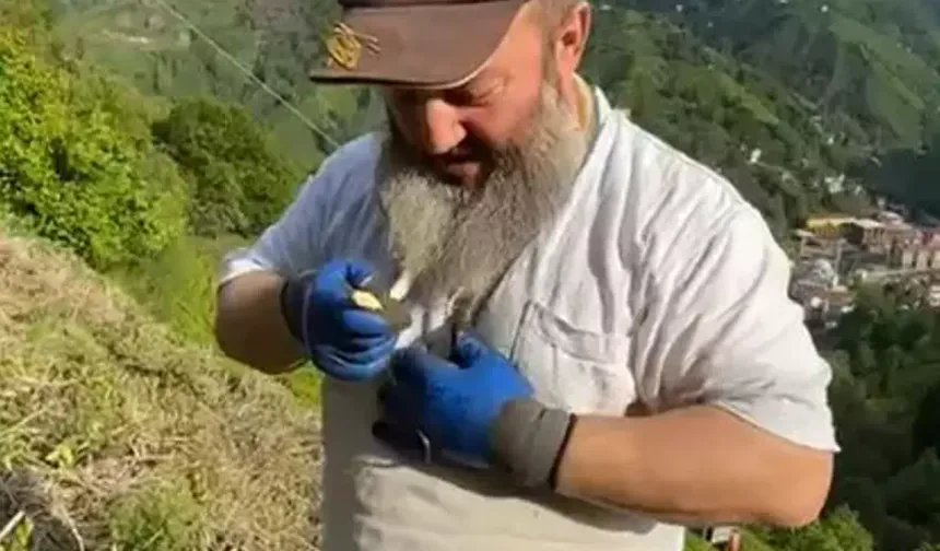 Yakaladığı yılanı boynuna doladı