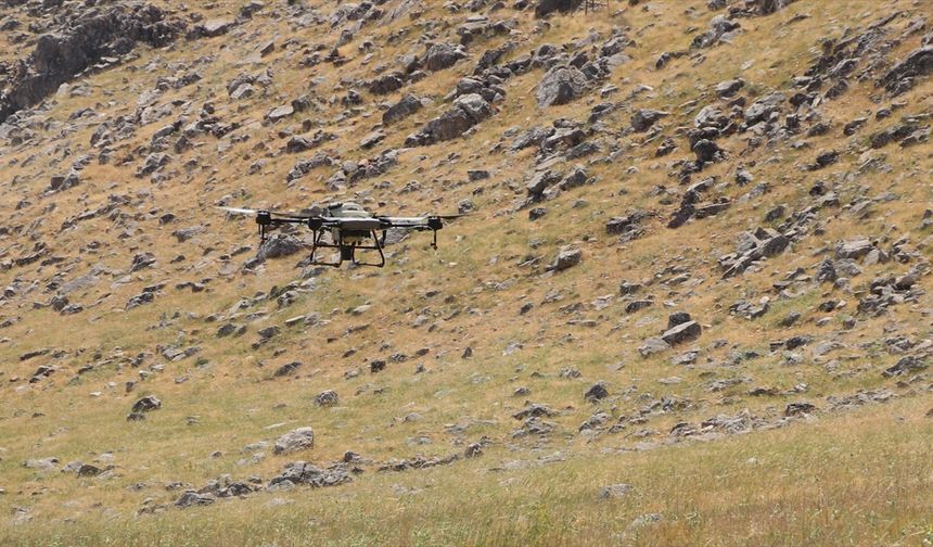 Siirt'te böceklere karşı ilaçlama devam ediyor