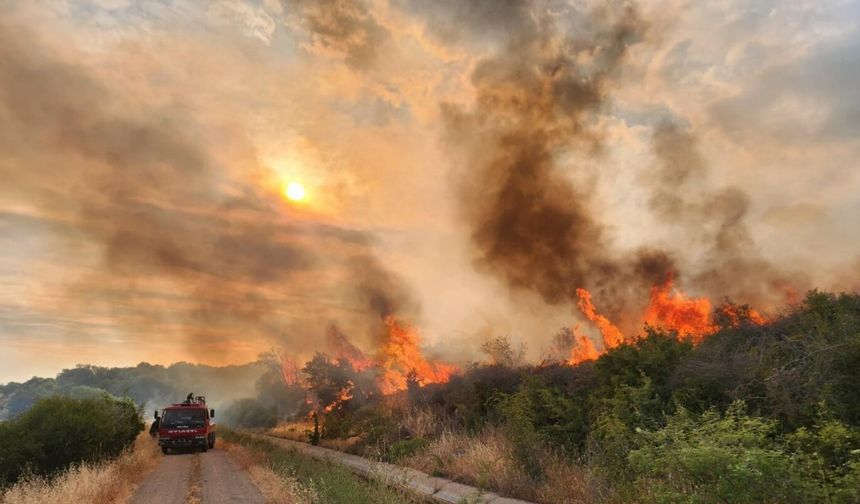 Çanakkale'deki orman yangını