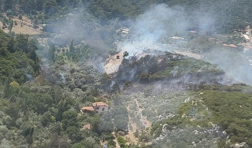 İzmir'de orman yangını çktı!