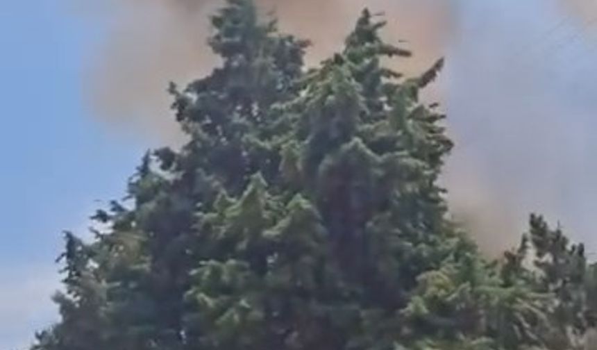 Kocaeli'de korkutan yangın