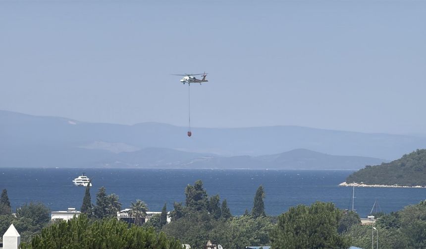 Muğla'da korkutan yangın