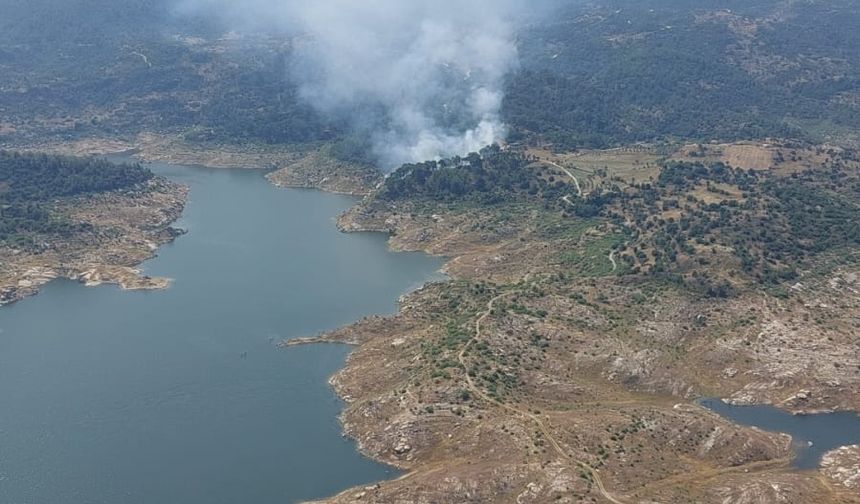Muğla'da orman yangını!