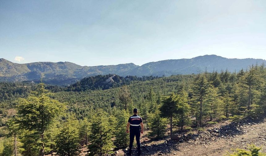 Muğla'da ormanlara girişler yasak!