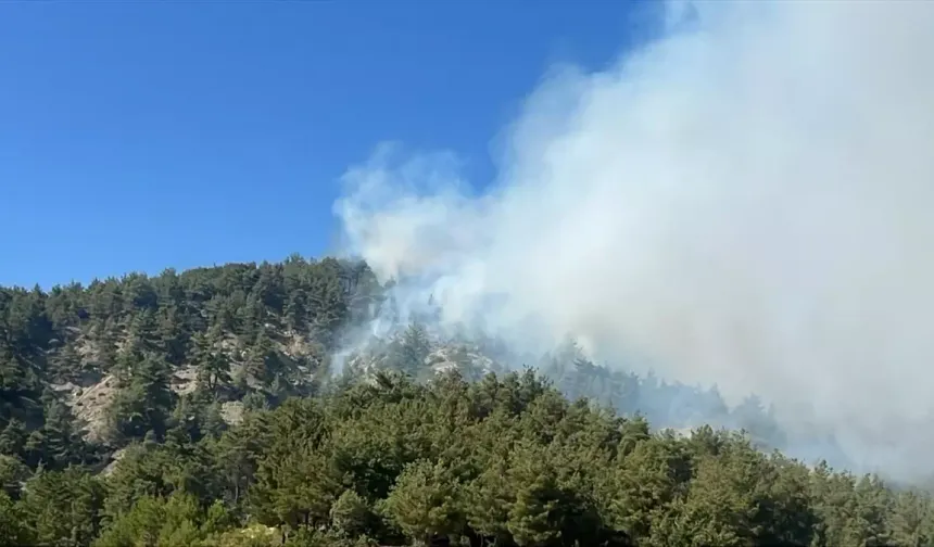 İzmir Buca'da Orman Yangını!